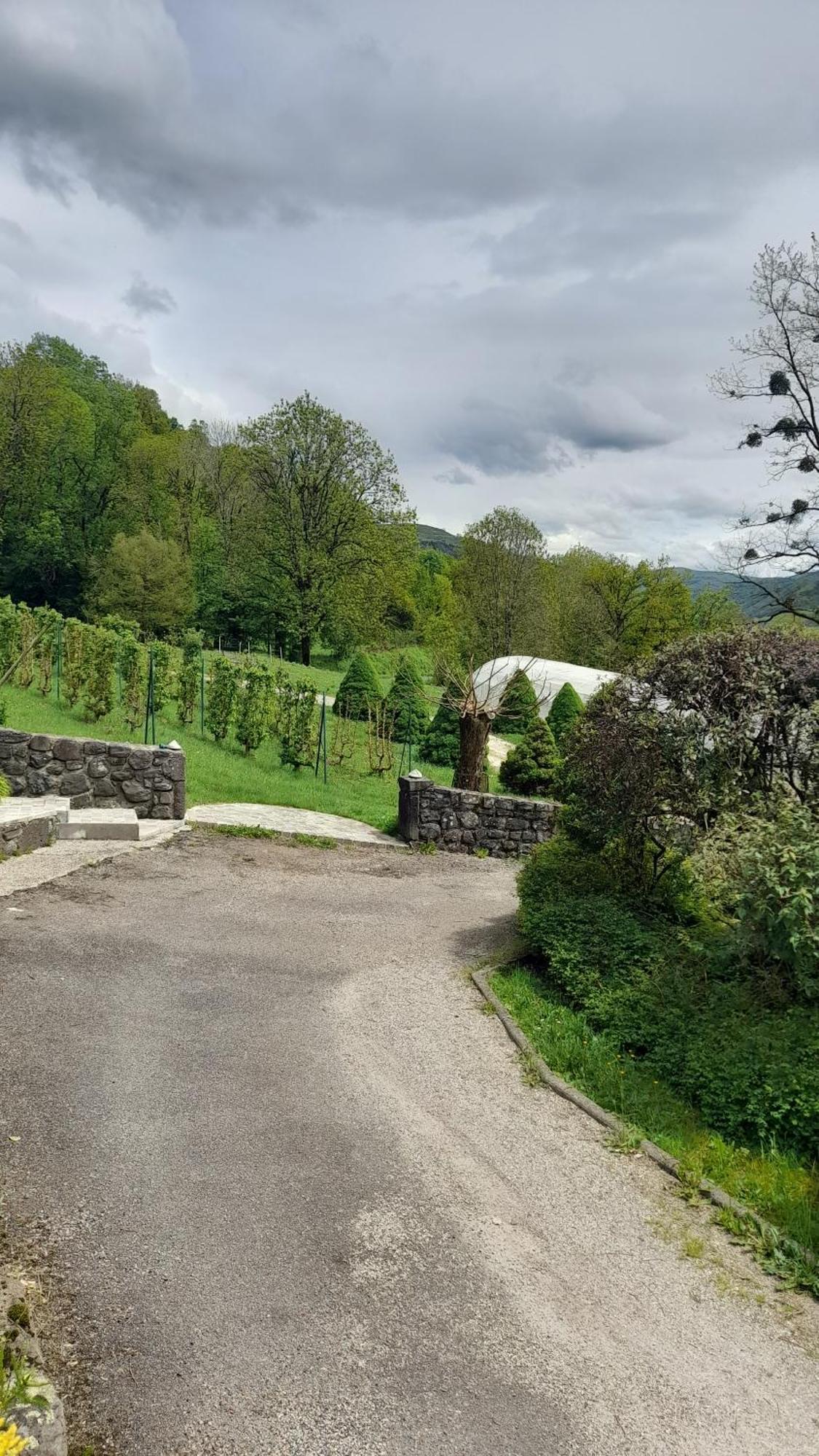 Chambre D'Hote Dans Le Cantal Vallee De La Maronne Saint-Martin-Valmeroux Dış mekan fotoğraf